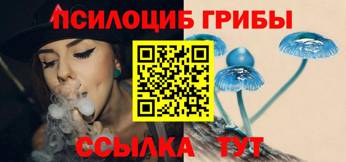 купить  сайты  Галлюциногенные грибы MAGIC MUSHROOMS  Советский  Вход с VPN  Псилоцибиновые грибы прущие грибы 