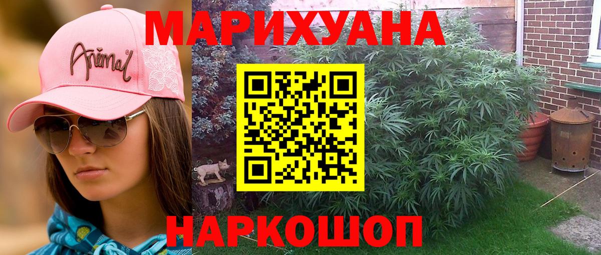 Канабис гибрид Советский